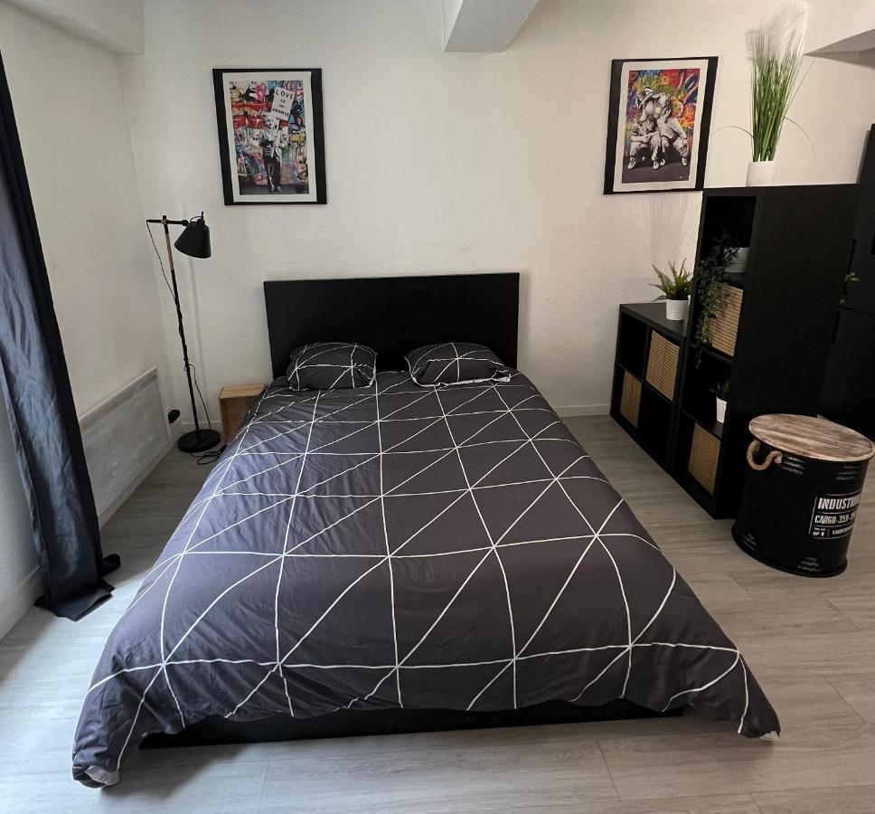 Studio Cosy Au Coeur Du Centre Ville Mâcon エクステリア 写真